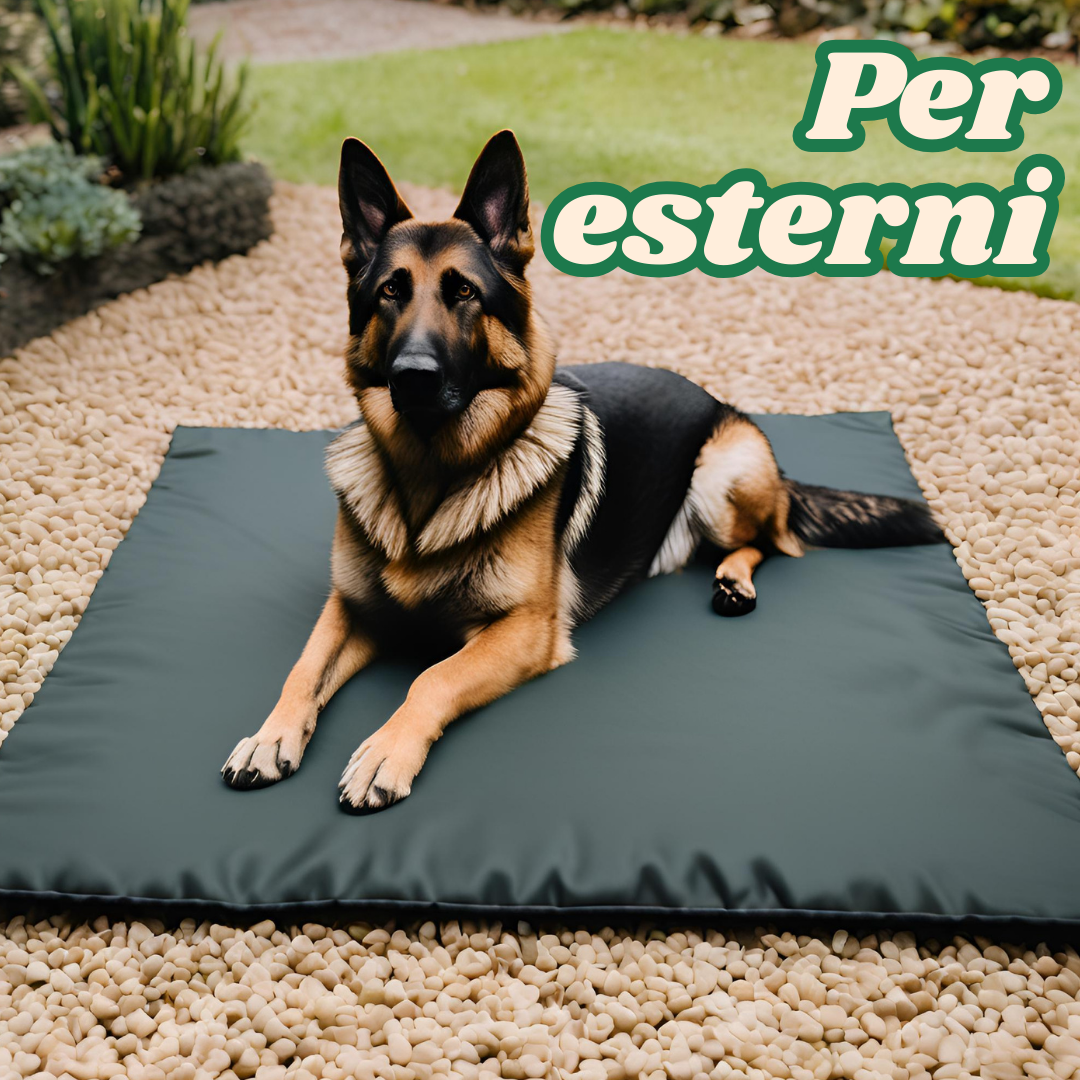 Tappetino Multiuso per Cani