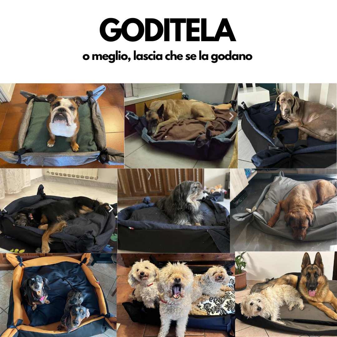 Eco-Cuccia "Sorprendimi"