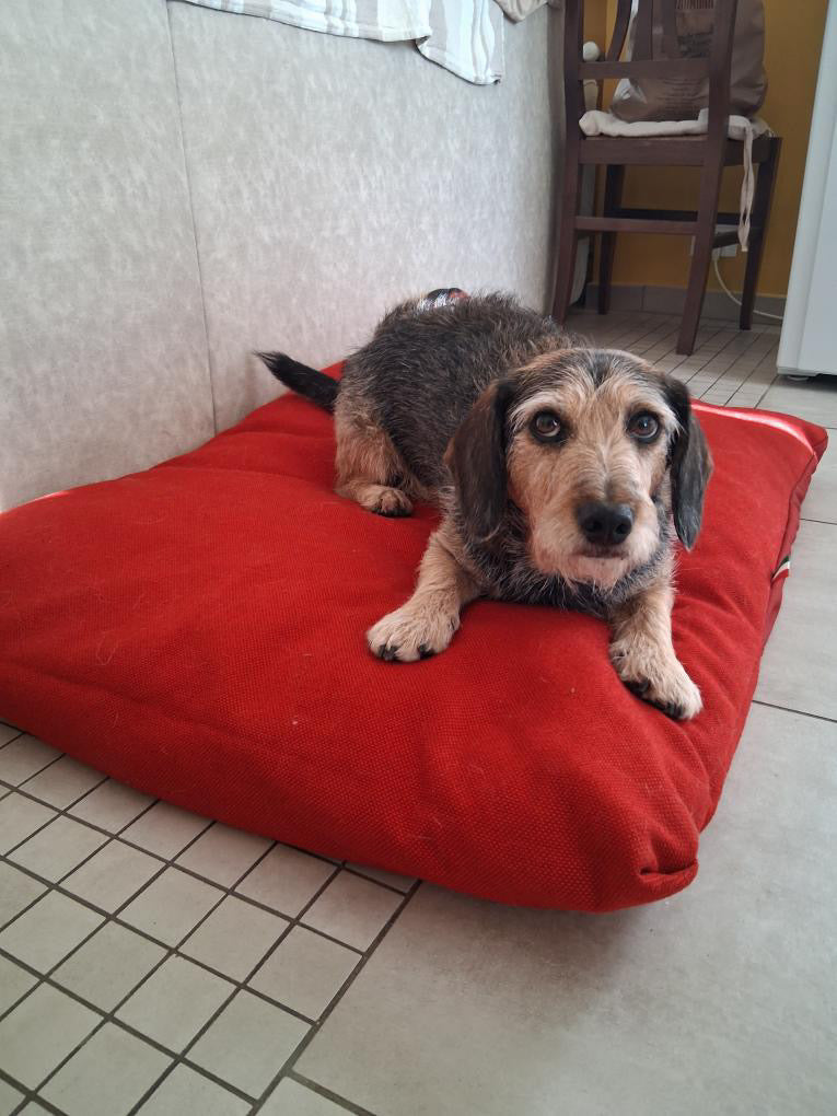 Offerta SuperComfort