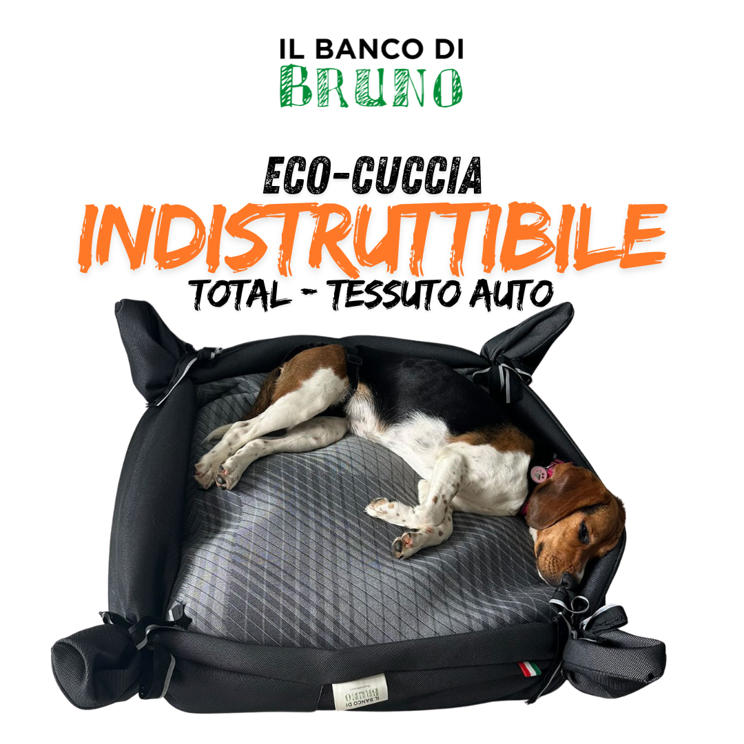 Eco-Cuccia "INDISTRUTTIBILE"