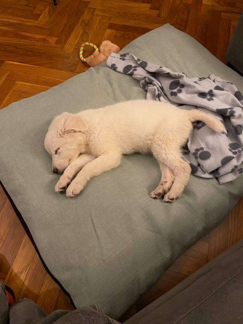 Offerta SuperComfort