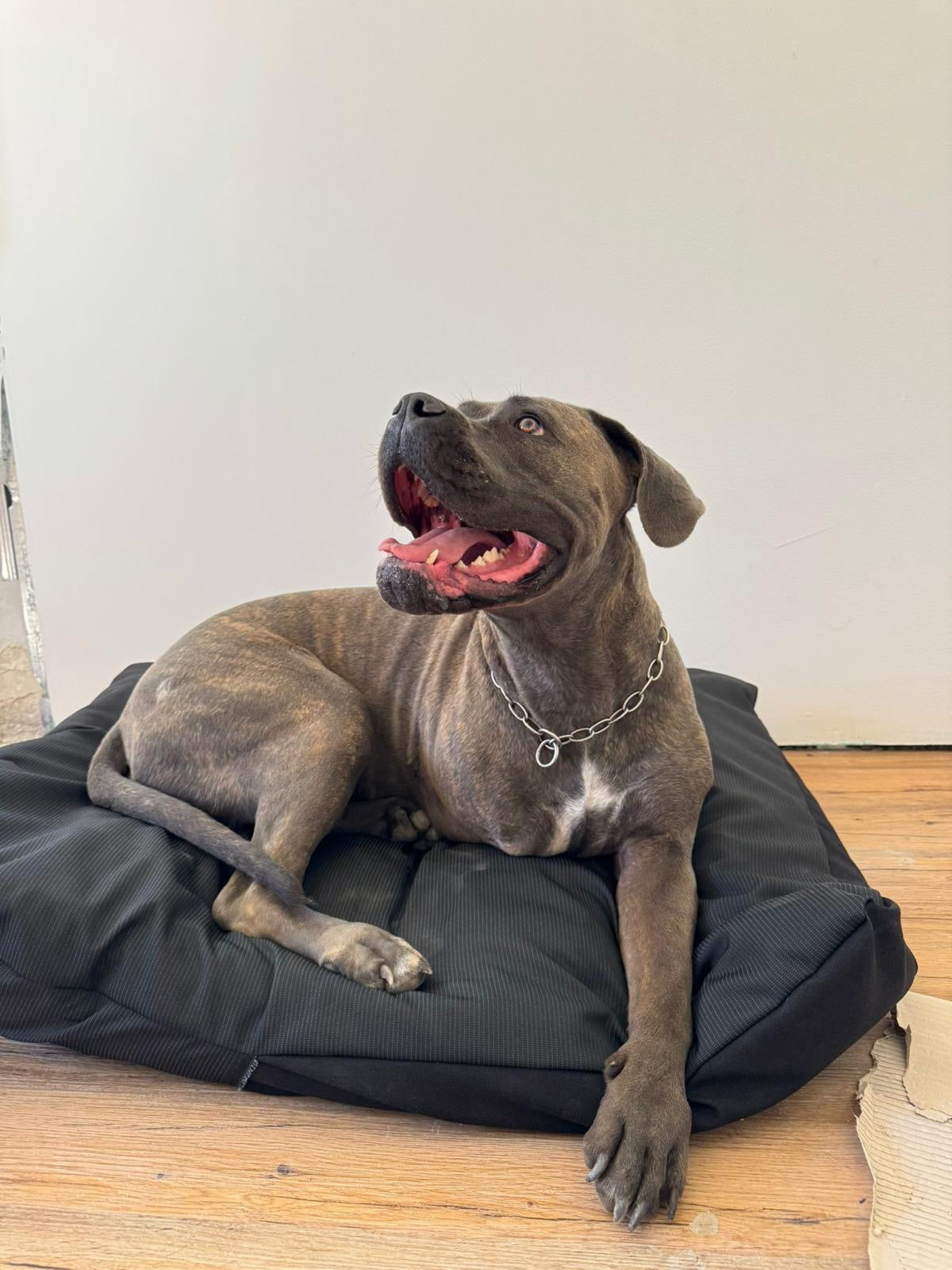 Offerta SuperComfort