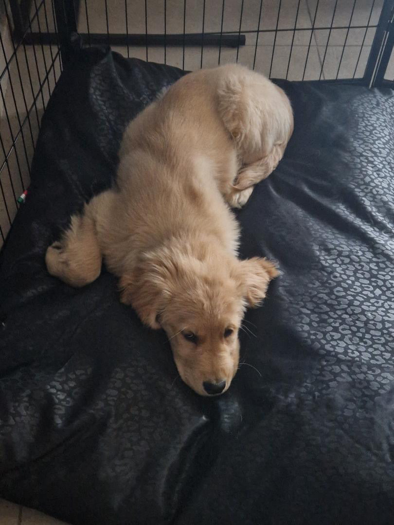 Offerta SuperComfort