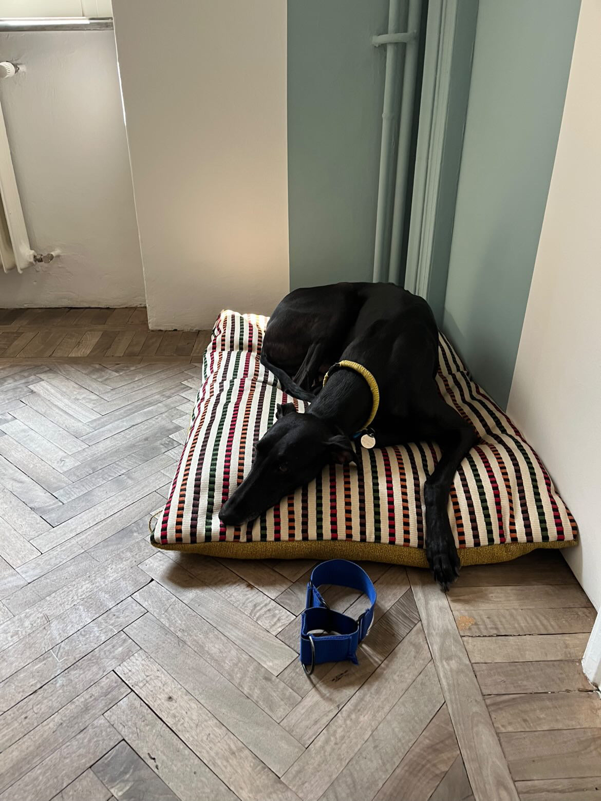 Offerta SuperComfort